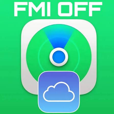 FMI OFF - iPad mini 5 - WiFi Model Only
